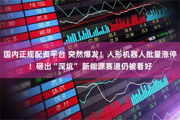 国内正规配资平台 突然爆发！人形机器人批量涨停！砸出“深坑” 新能源赛道仍被看好